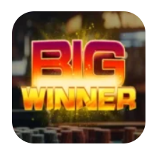bigwinner apk icon